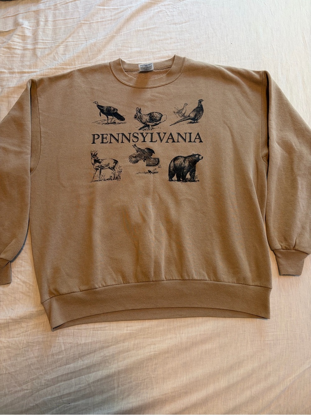 Vintage Pennsylvania crew neck sweatshirt